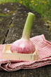 Knoblauch im Kästchen