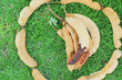 Tamarind - laying on the grass.