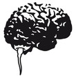 Brain Sperm