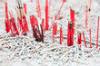 incense and incense powder