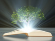 Book with tree