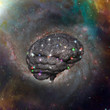 Cosmic Brain