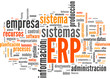 ERP (Enterprise Resource Planning; tag cloud español)