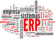 ERP (Enterprise Resource Planning; tag cloud español)