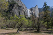 Yosemite National park