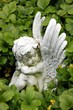 Engelsfigur im Grünen auf Friedhof