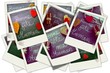 Photo: Happy mother's day .Polaroids. Happy mother's day .Polaroids.
