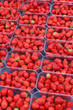 Barquette de fraises
