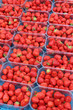 Barquette de fraises