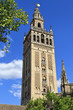 The Giralda, bell tower of the Cathedral of Seville