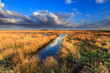 Meadow landscape with beautiful cloudscape