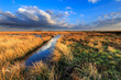 Meadow landscape with beautiful cloudscape