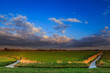 Countryside landscape at sunset