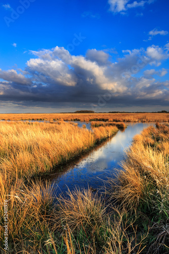 Photo: Meadow landscape with beautiful cloudscape Meadow landscape with beautiful cloudscape