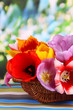 Beautiful tulips in bouquet in wicker basket