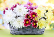 Bouquet of beautiful chrysanthemums in wicker basket