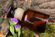 Bottle with basics oil on tree bark and stones close up
