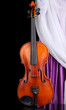 Classical violin on curtain background