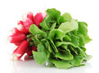 Small garden radish with leaves isolated on white