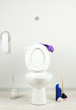 White toilet bowl and  cleaner bottle in a bathroom
