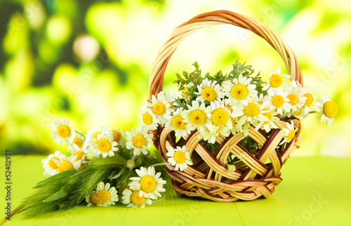 Photo: Wild camomiles and spikelets in basket, on green background Wild camomiles and spikelets in basket, on green background
