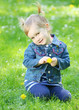 Photo: Cute girl dressed in jeans with a dandelion in a grass. Cute girl dressed in jeans with a dandelion in a grass.