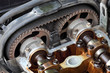 Car engine head, two camshaft, pulley and belt