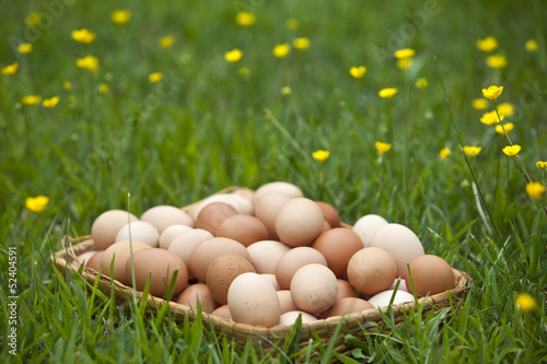 Photo: Basket of fresh brown eggs in grass Basket of fresh brown eggs in grass