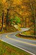 S-Curved Road On Skyline Drive