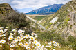 New Zealand scenic landscape