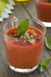 Gazpacho soup of tomatoes.