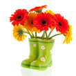 Gerber flowers in green boots