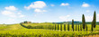 Beautiful landscape with vineyard, Chianti, Tuscany, Italy