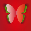 Schmetterling Illustration
