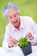Photo: Senior woman gardening Senior woman gardening