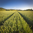 Dramatic sky, Idyllic rural landscape, Cotswolds UK
