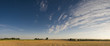 Big rural golden landscape