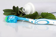 Mundhygiene mit Kräuterzahncreme