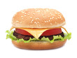 Appetizing hamburger
