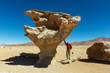 Dali desert