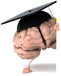Student brain