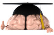 Student brain