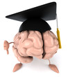 Student brain