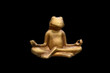 Foto: frosch frosch