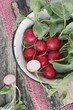 canvas print picture - Radish in the bowl