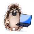 Cute hedgehog with laptop