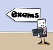 Vector: Exams Exams