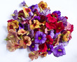 Photo: Fiori colorati Fiori colorati
