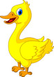happy yellow chick cartoon
