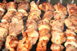 Shashlik on spit